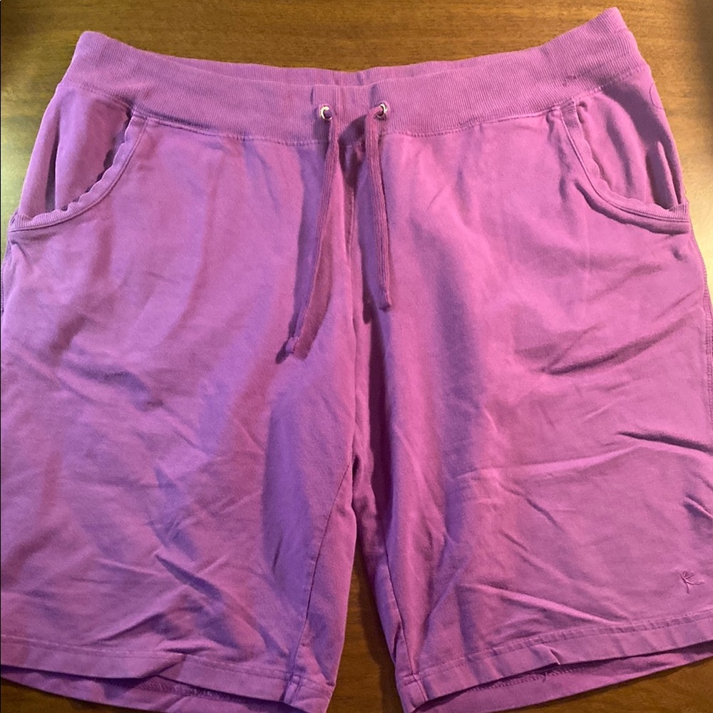 Danskin Now Purple Women's Shorts